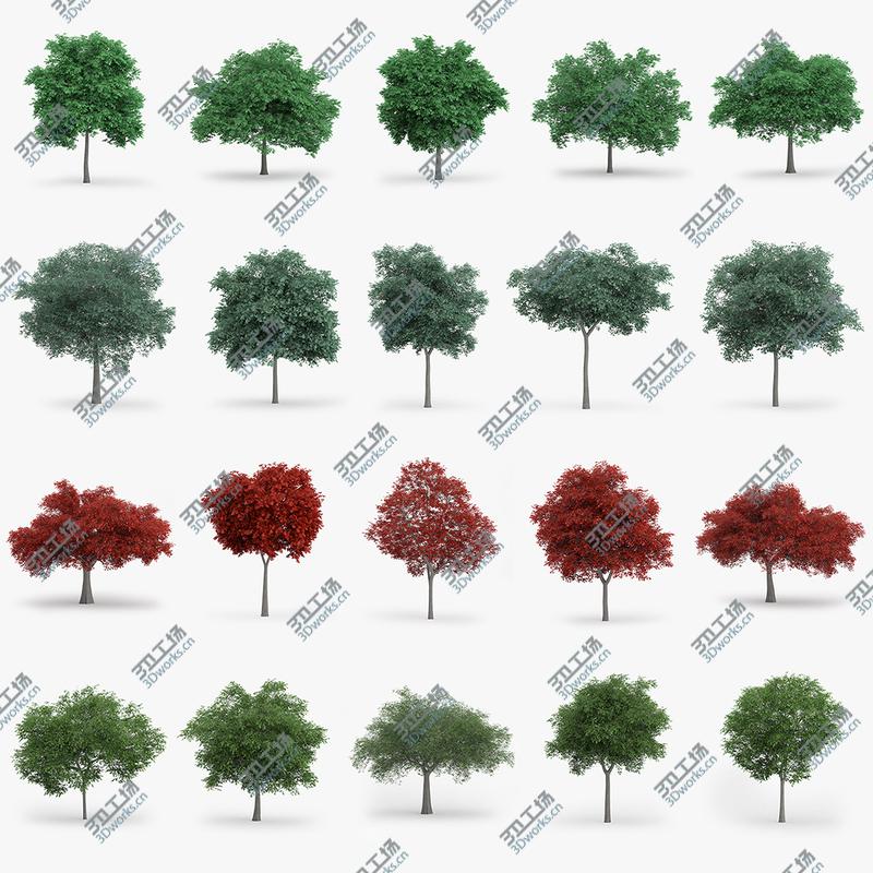 images/goods_img/202104022/Deciduous Trees Collection - 100 Trees - FBX OBJ Scanline/3.jpg